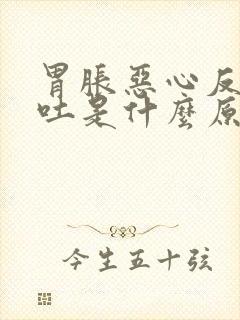 胃胀恶心反胃想吐是什么原因