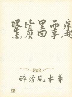 眼睛里面痒痒是怎么回事,越揉越痒