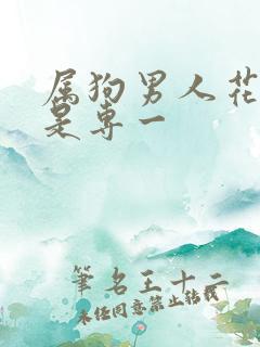 属狗男人花心还是专一