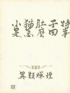 小猫肚子特别大是怎么回事