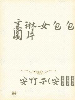 赛琳女包包价格图片