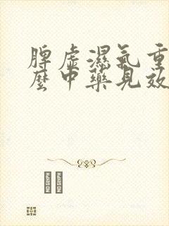 脾虚湿气重吃什么中药见效快