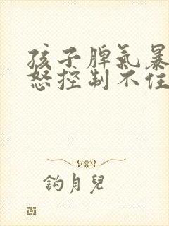 孩子脾气暴躁易怒控制不住情绪