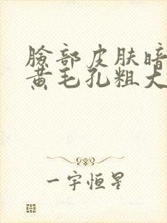 脸部皮肤暗沉发黄毛孔粗大