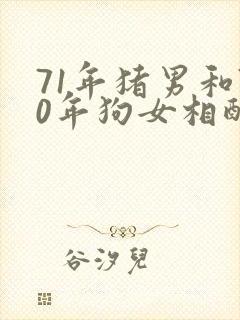 71年猪男和70年狗女相配吗