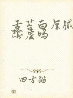 舌苔白厚腻是肾阴虚吗