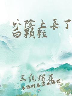 外阴上长了一些白颗粒