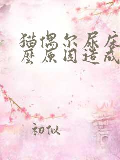 猫偶尔尿床是什么原因造成的