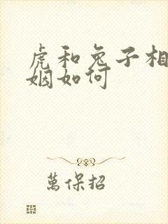 虎和兔子相配婚姻如何