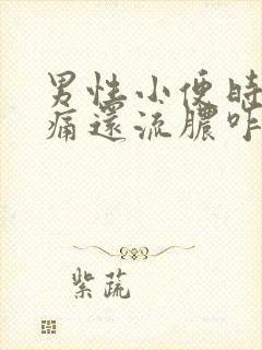 男性小便时尿道痛还流脓咋回事