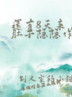 还有8天来月经肚子隐隐作痛