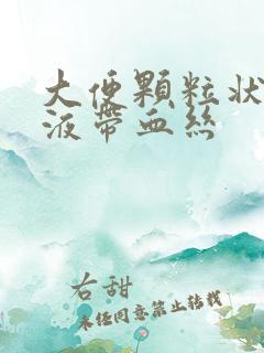 大便颗粒状有粘液带血丝