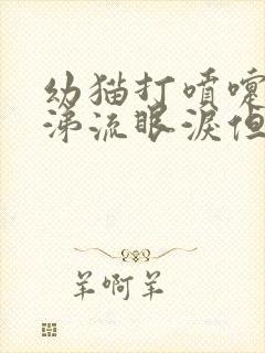 幼猫打喷嚏流鼻涕流眼泪但是很精神