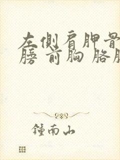 左侧肩胛骨 肩膀 前胸 胳膊 疼