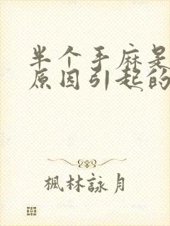 半个手麻是什么原因引起的