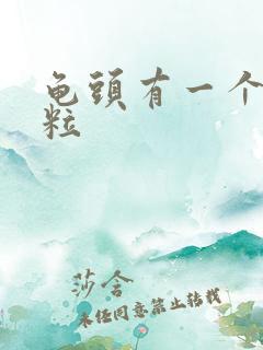 龟头有一个小肉粒