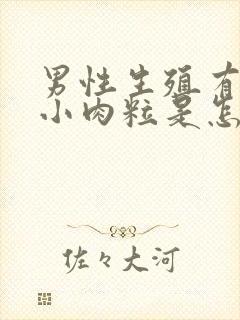 男性生殖有一个小肉粒是怎么回事