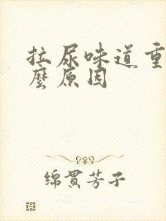 拉尿味道重是什么原因