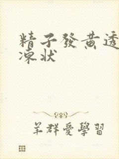 精子发黄透明果冻状