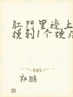 肛门里边上肉里摸到1个硬疙瘩