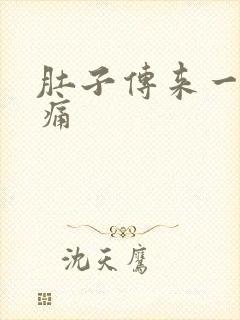 肚子传来一阵绞痛