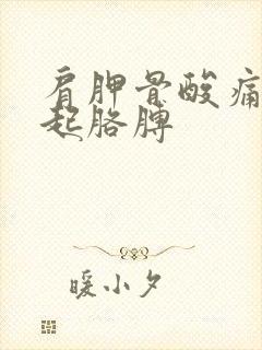 肩胛骨酸痛抬不起胳膊