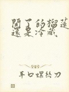 开了的榴莲冷冻还是冷藏