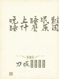 晚上睡眠难以入睡什么原因