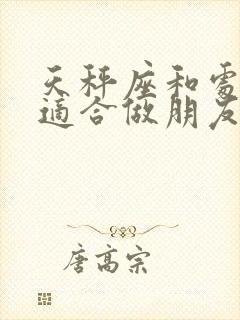 天秤座和处女座适合做朋友吗