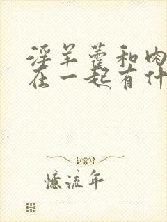 淫羊藿和肉苁蓉在一起有什么作用