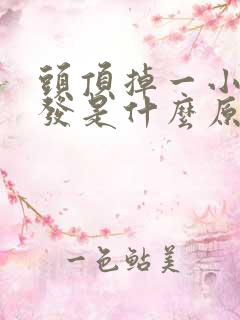 头顶掉一小块头发是什么原因