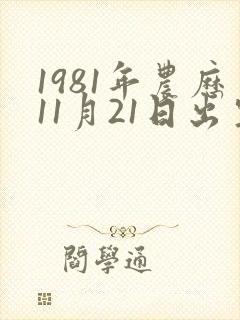 1981年农历11月21日出生的鸡命运