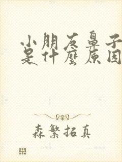 小朋友鼻子出血是什么原因