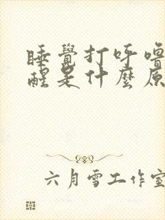 睡觉打呼噜老憋醒是什么原因