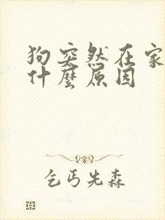 狗突然在家乱尿什么原因