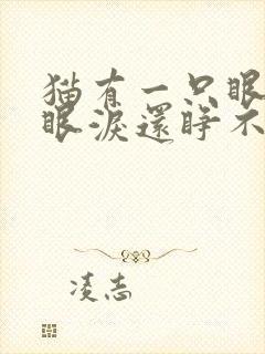 猫有一只眼睛流眼泪还睁不开为什么