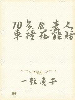 70多岁老人被车撞死能赔多少钱