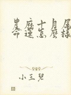 农历十月属鸡的命运怎么样