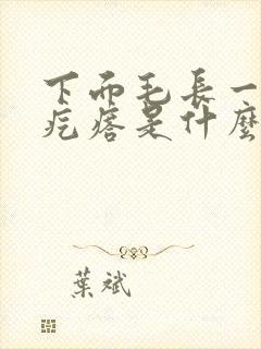 下面毛长一个硬疙瘩是什么