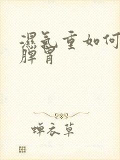 湿气重如何调理脾胃