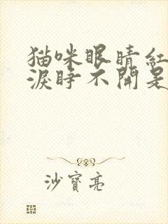 猫咪眼睛红肿流泪睁不开是什么原因