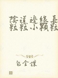 阴道边缘长了一粒粒小颗粒