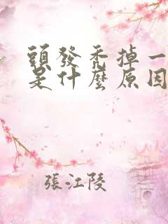 头发秃掉一小块是什么原因