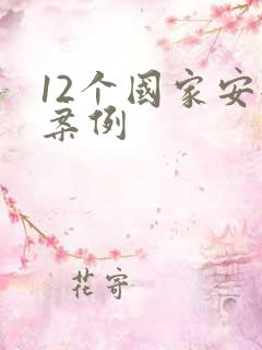 12个国家安全案例