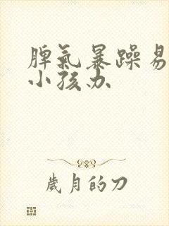 脾气暴躁易怒的小孩办