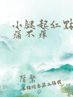 小腿起红点点不痛不痒