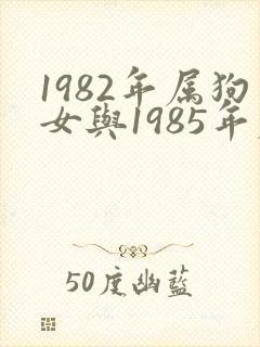 1982年属狗女与1985年属牛男婚配