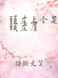 头皮上全是大块头皮屑