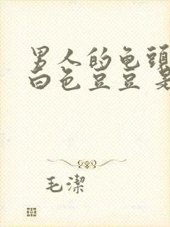 男人的龟头上有白色豆豆 是什么