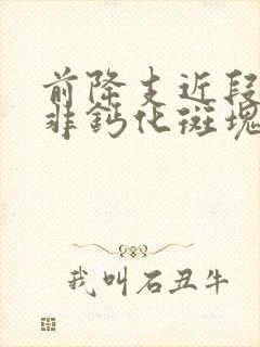 前降支近段可见非钙化斑块